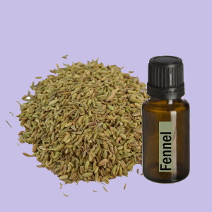 Fennel (Venkel)
