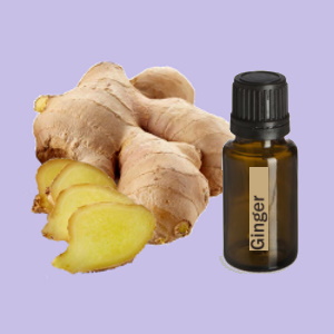 Ginger (Gember)