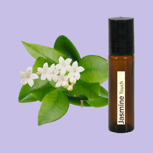 Jasmine Touch (Jasmijn verdund)