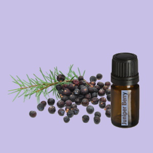 Juniper Berry (Jeneverbes)