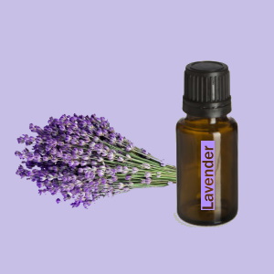 Lavender (Lavendel)