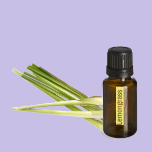 Lemongrass (Citroengras)