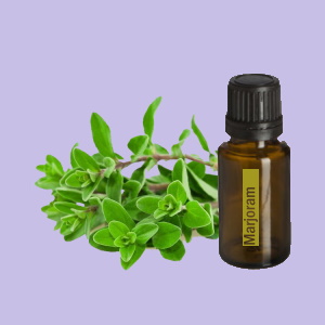 Marjoram (Marjolein)