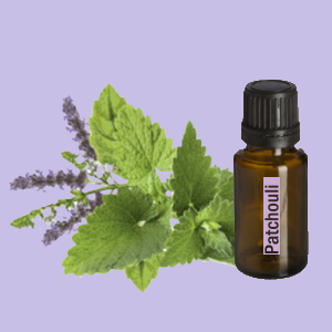Patchouli (Patchoeli)