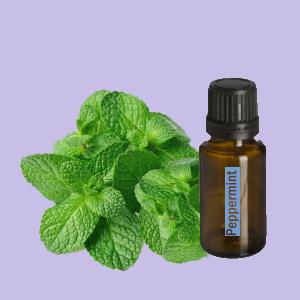 Peppermint (Pepermunt)