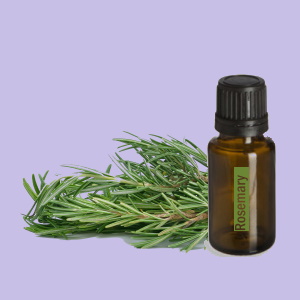 Rosemary (Rozemarijn)