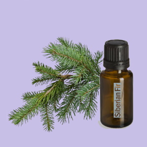 Siberian Fir (Siberische Spar)