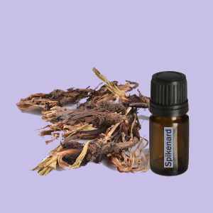 Spikenard (Nardus)