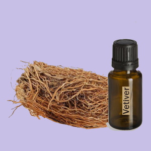 Vetiver (Vetiver)