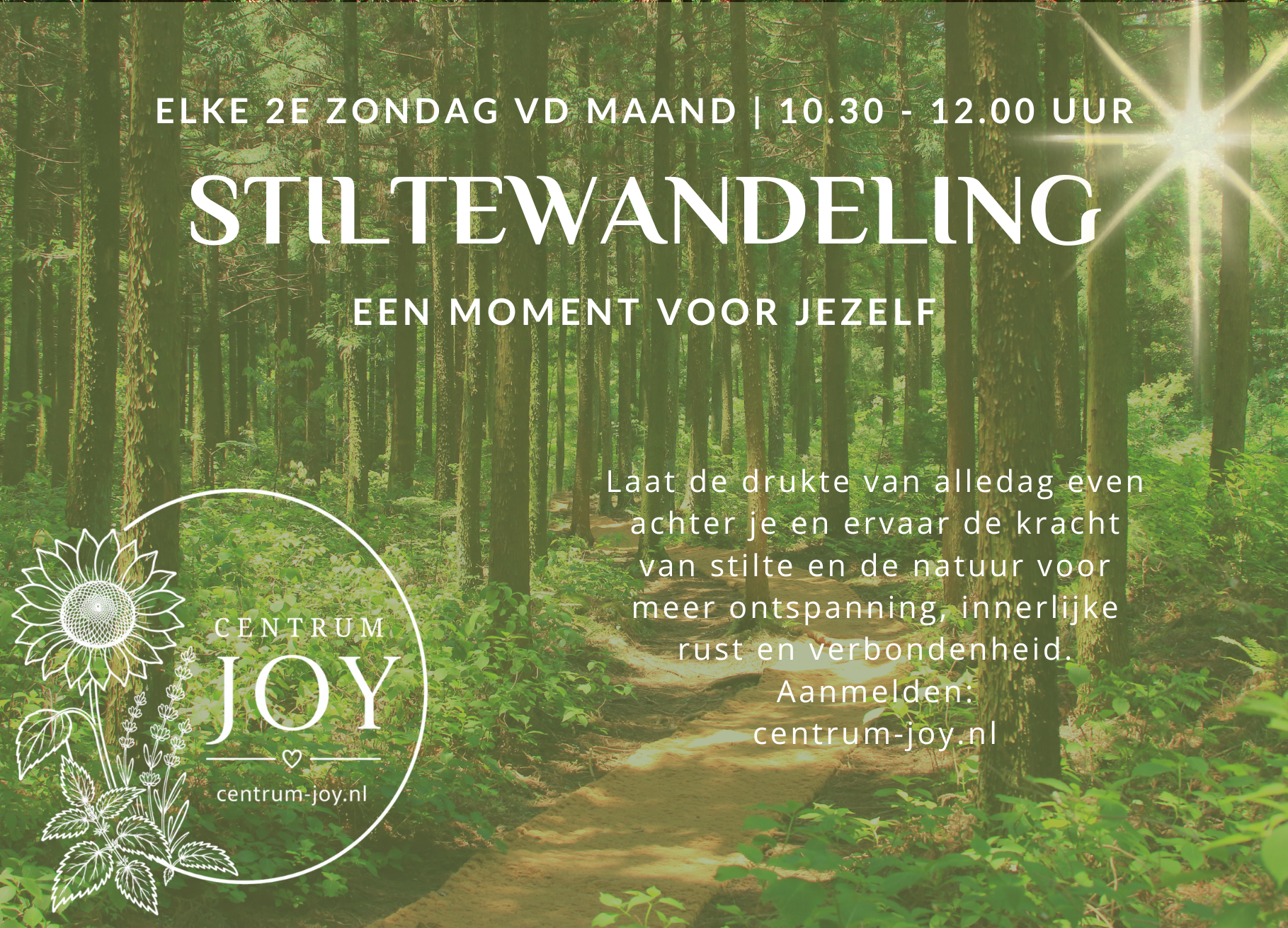 13 december 2026: Stiltewandeling
